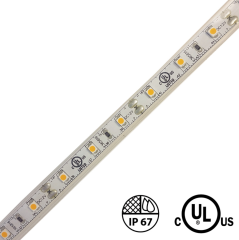 24V Outdoor 3528  LED Strip Light - 10M (33') rolls - Multiple colors available