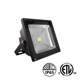 30W LED Outdoor Floodlight 