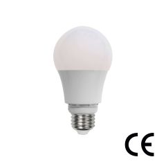 Low Voltage A19 LED Bulb 