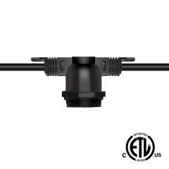 100' Non-Suspended String Lights